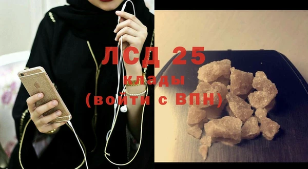 бошки Бородино