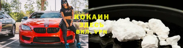 бошки Бородино