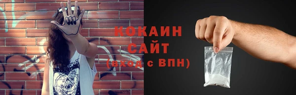 бошки Бородино
