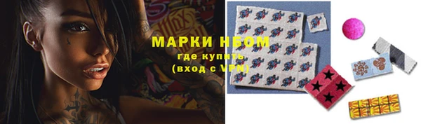 бошки Бородино