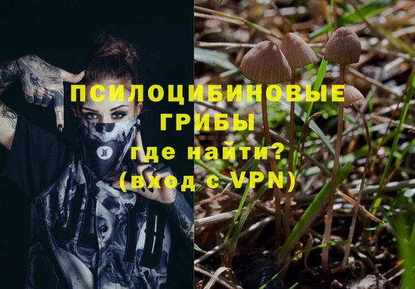 герыч Бронницы