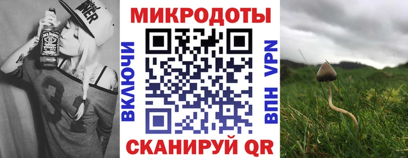 Псилоцибиновые грибы Cubensis  купить наркотики цена  Дигора 